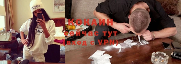 индика Ростов