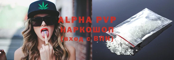 индика Ростов