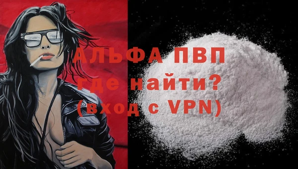 индика Ростов