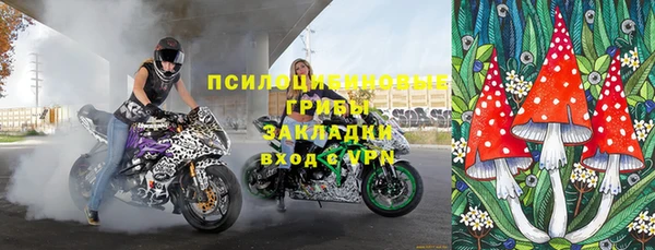 индика Ростов