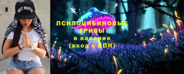 mdpv Рославль
