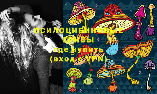 mdpv Рославль