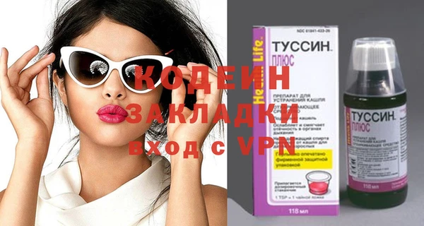индика Ростов