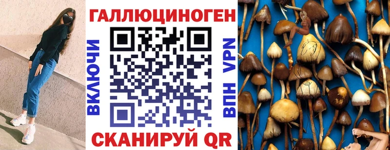 Псилоцибиновые грибы мицелий  Среднеуральск 