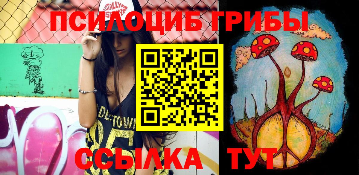 Псилоцибиновые грибы Psilocybe Среднеуральск