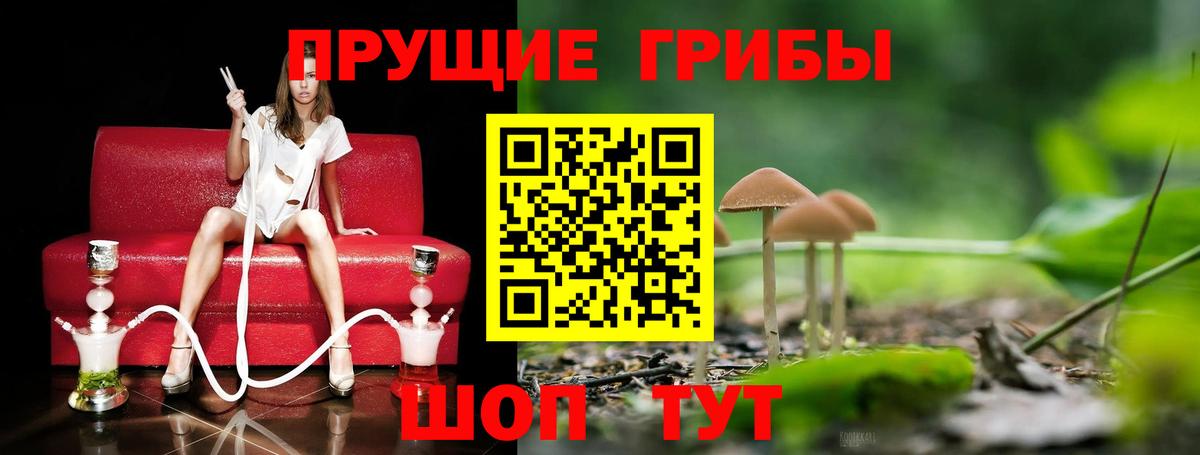 Галлюциногенные грибы прущие грибы  Вход с VPN  Среднеуральск 